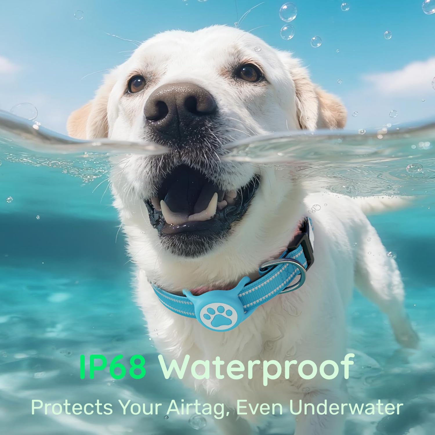 WhoseID airTag collar waterproof IP68 feature for rugged outdoor use