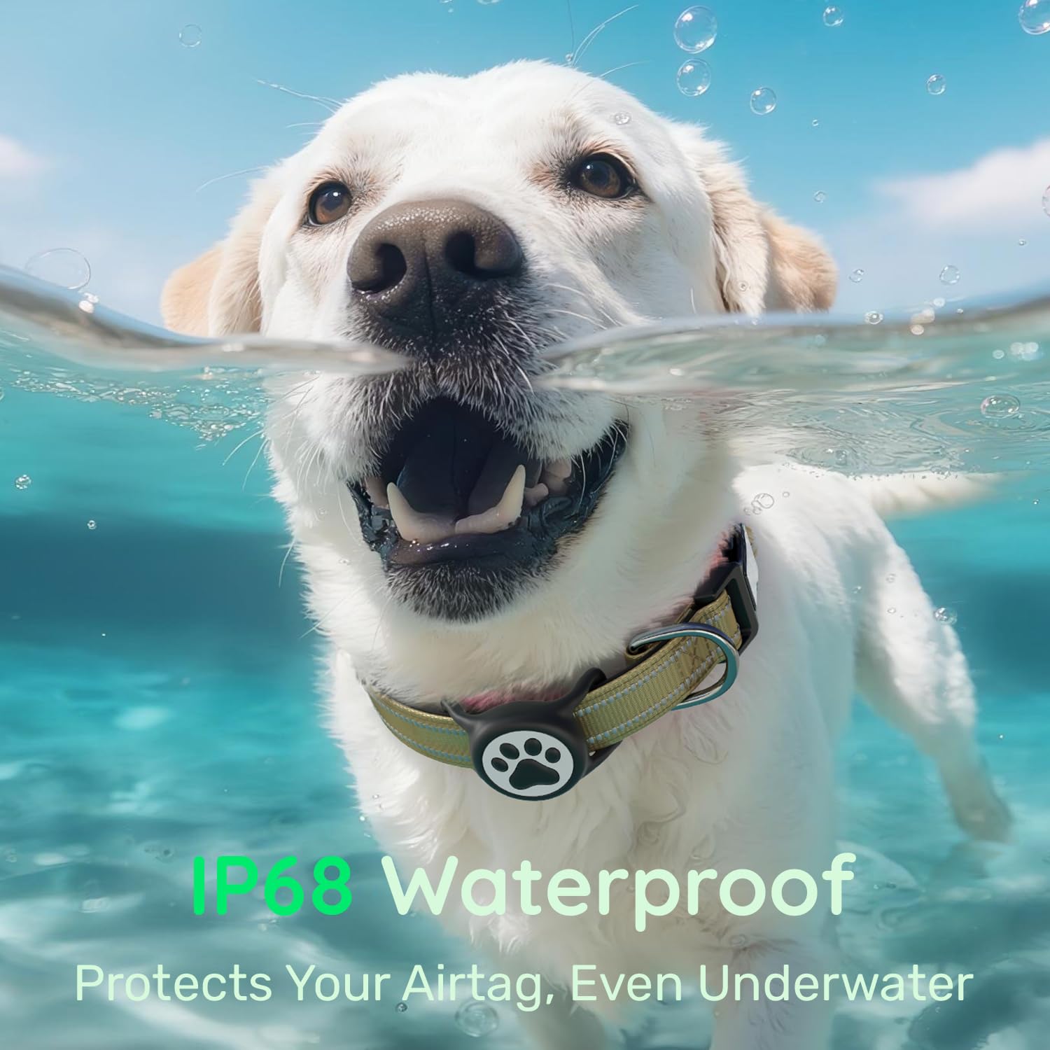 WhoseID Airtag collar IP68 waterproof design suitable for swimming