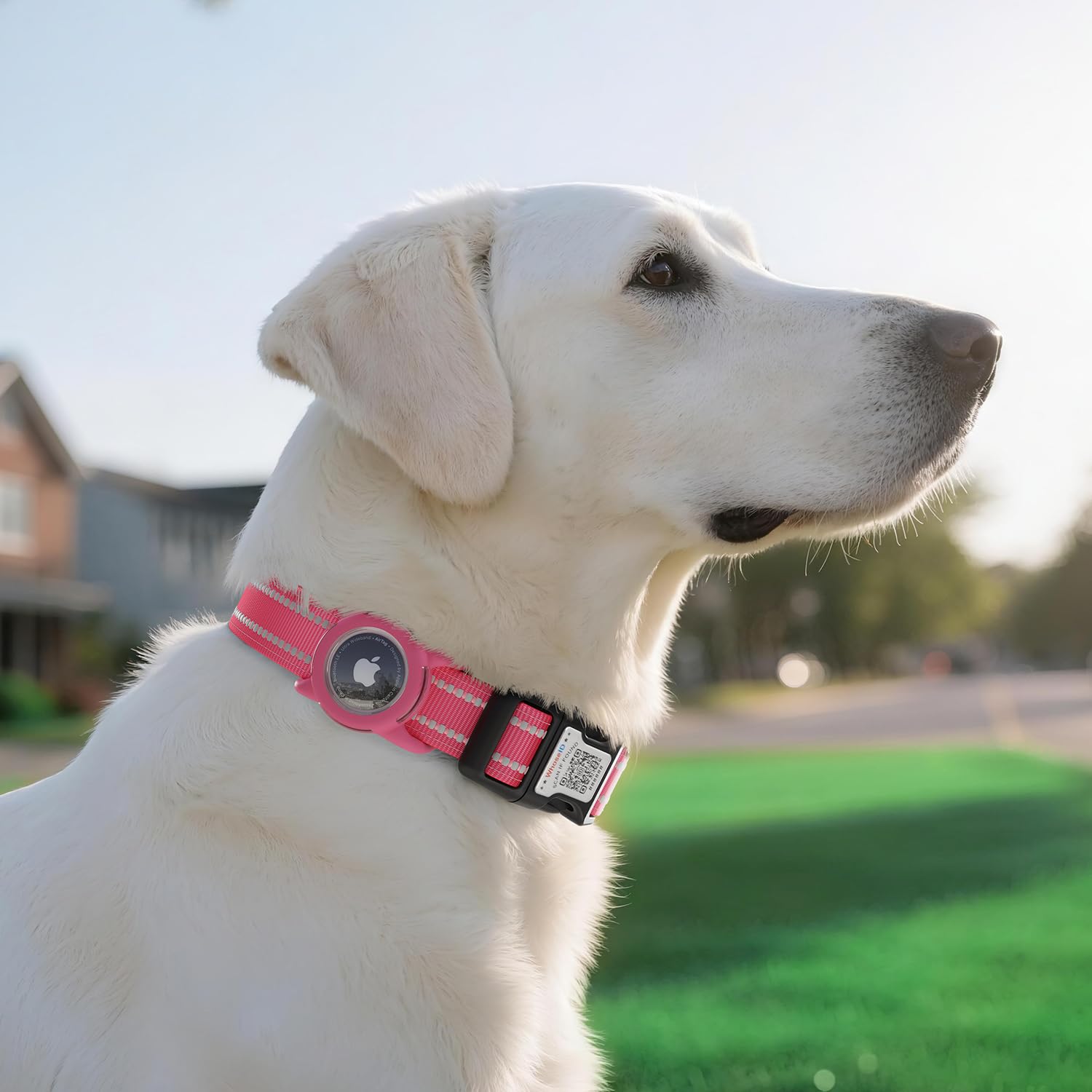 WhoseID AirTag holder securely protects the tracker from water and dust
