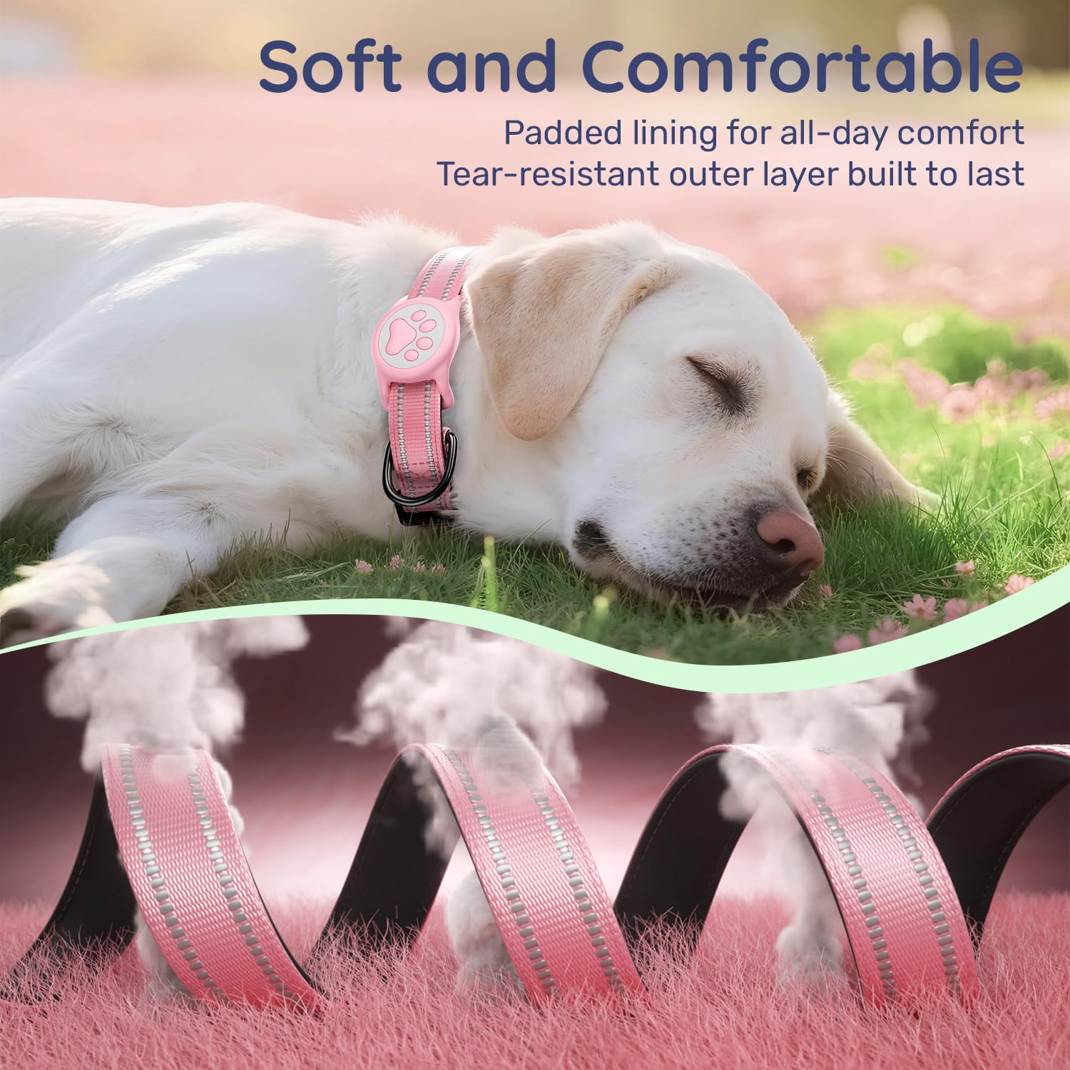 WhoseID D-ring on the collar for secure leash attachment