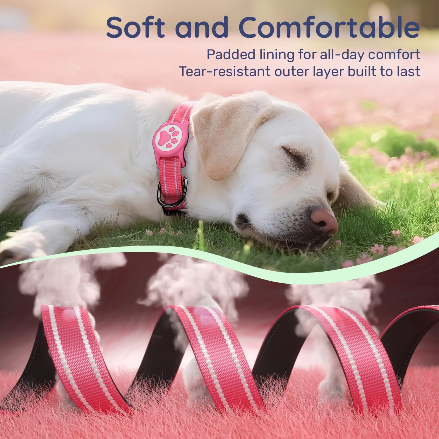 WhoseID collar available in XS, M, and L for versatile sizing.