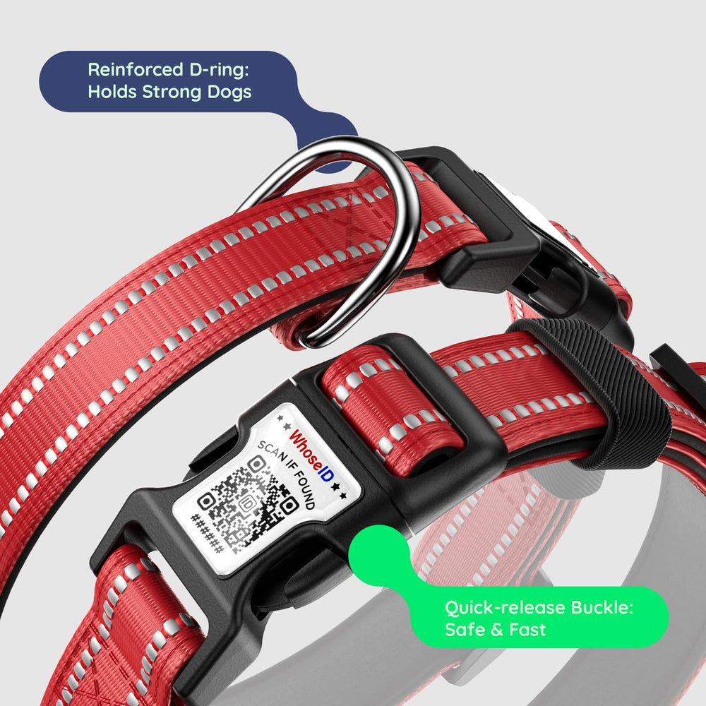WhoseID three-size collar range fits small to large dogs