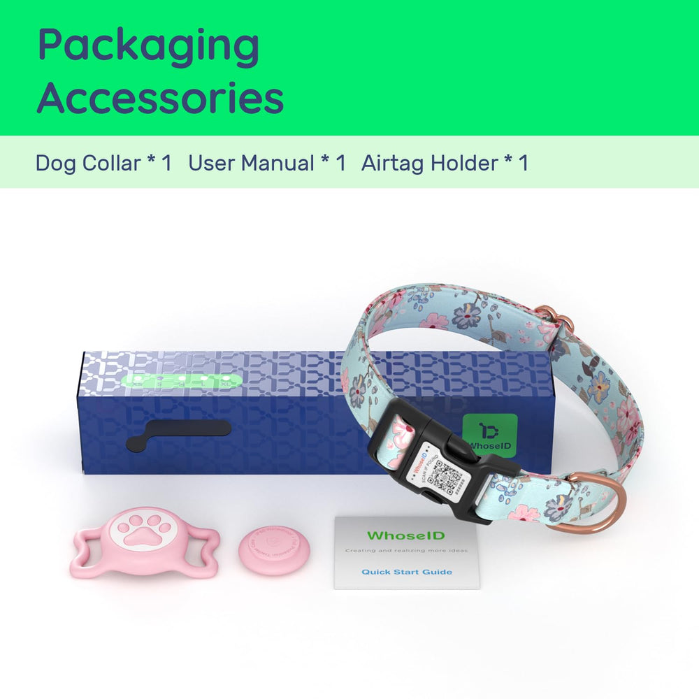 WhoseID dog wearing collar during walk with Airtag secured for safety.