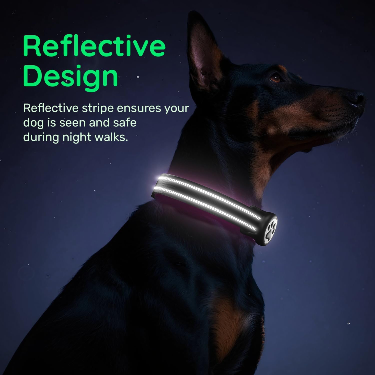 WhoseID D-ring enables quick leash attachment and tag display