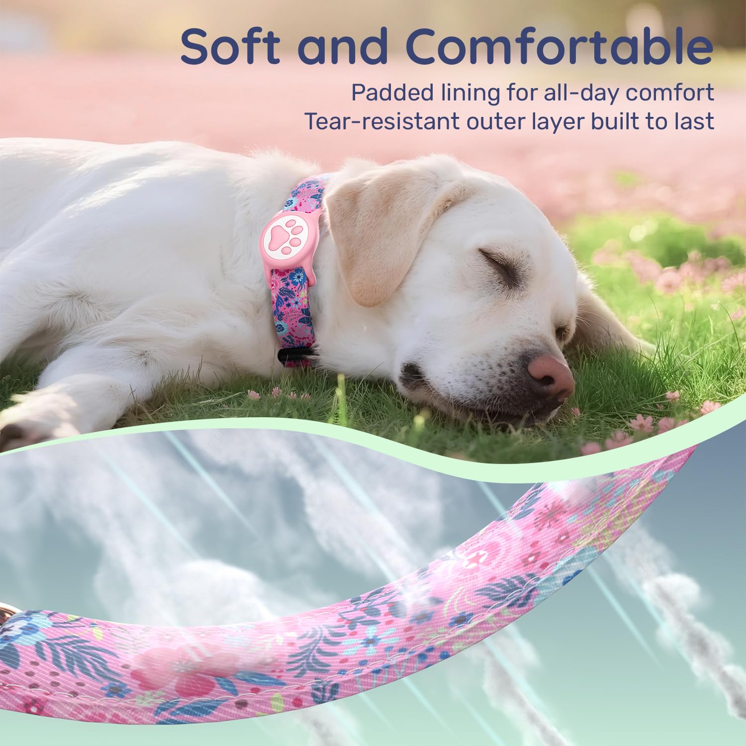 WhoseID soft nylon collar blends sturdiness with comfortable wear for active dogs