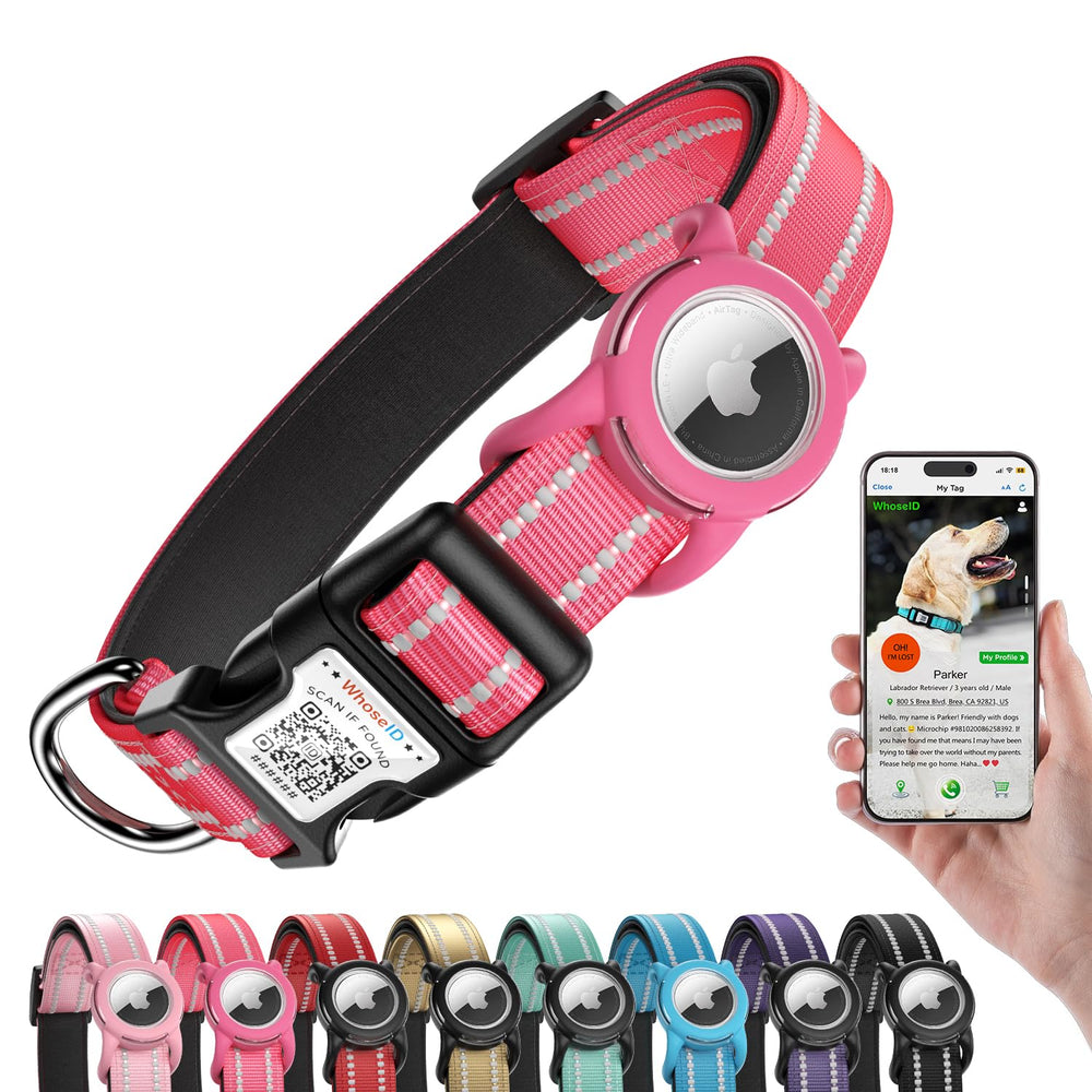 WhoseID reflective dog collar with AirTag holder for enhanced visibility during evening walks