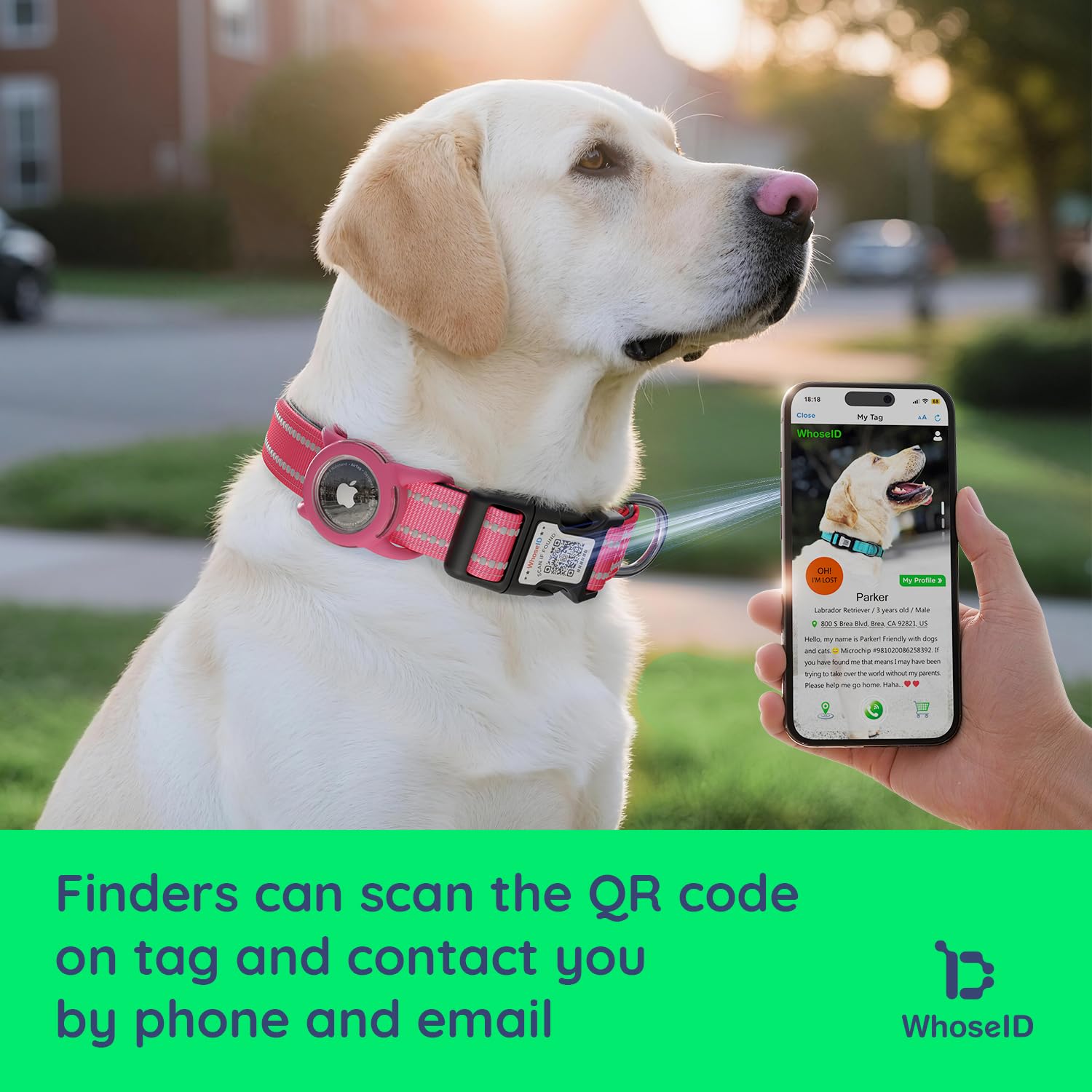 WhoseID waterproof dog collar showing QR code for quick pet profile access