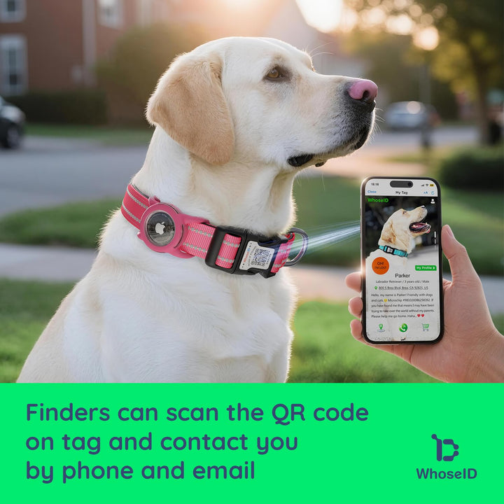 WhoseID waterproof dog collar showing QR code for quick pet profile access