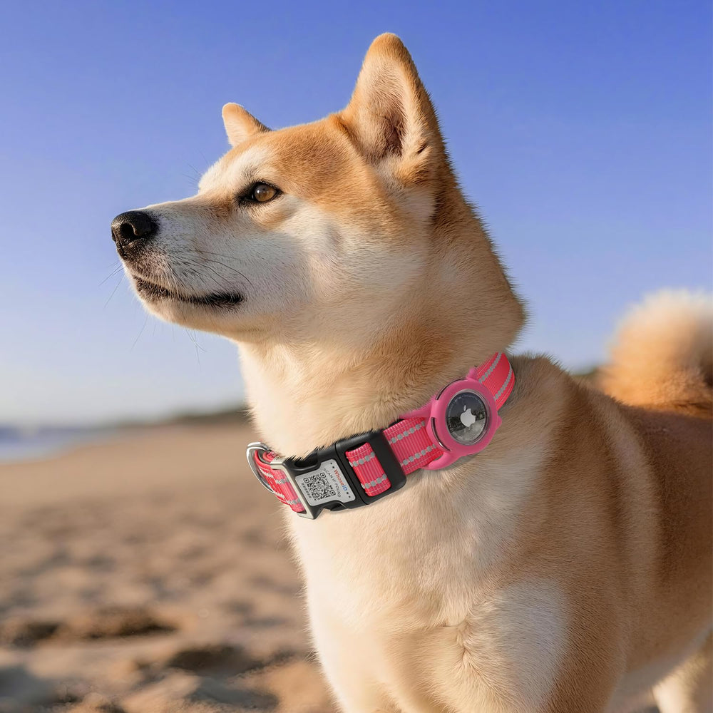 WhoseID adjustable XS to L sizing fits most dogs comfortably