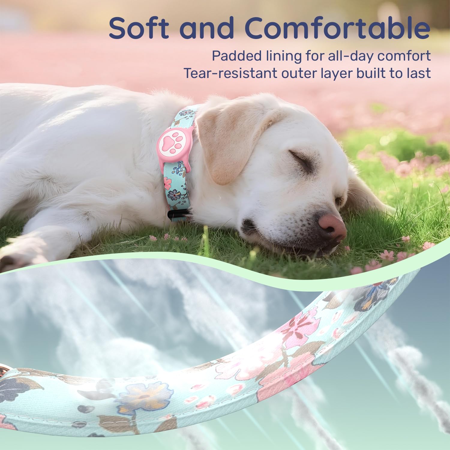 WhoseID adjustable sizes ensure a secure, comfortable fit for any dog.