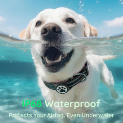 WhoseID AirTag dog collar waterproof case protects the tracker during outdoor adventures.