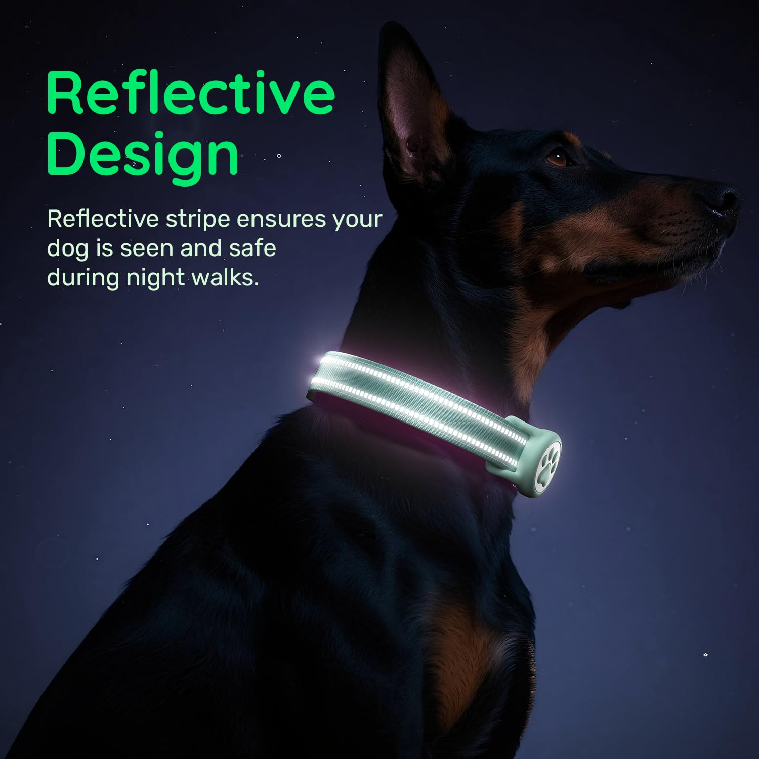 WhoseID green collar with D-ring for easy leash attachment