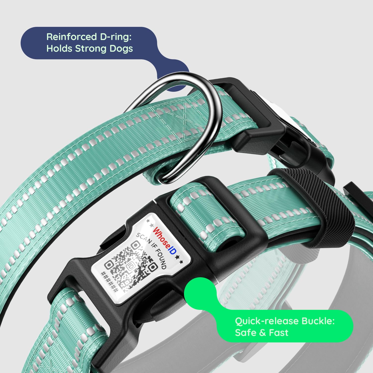 WhoseID three-size adjustable collar in green for a custom fit