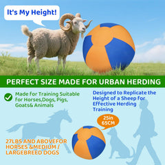 WHXMHRQ heavy-duty ball with oxford fabric and PVC lining.