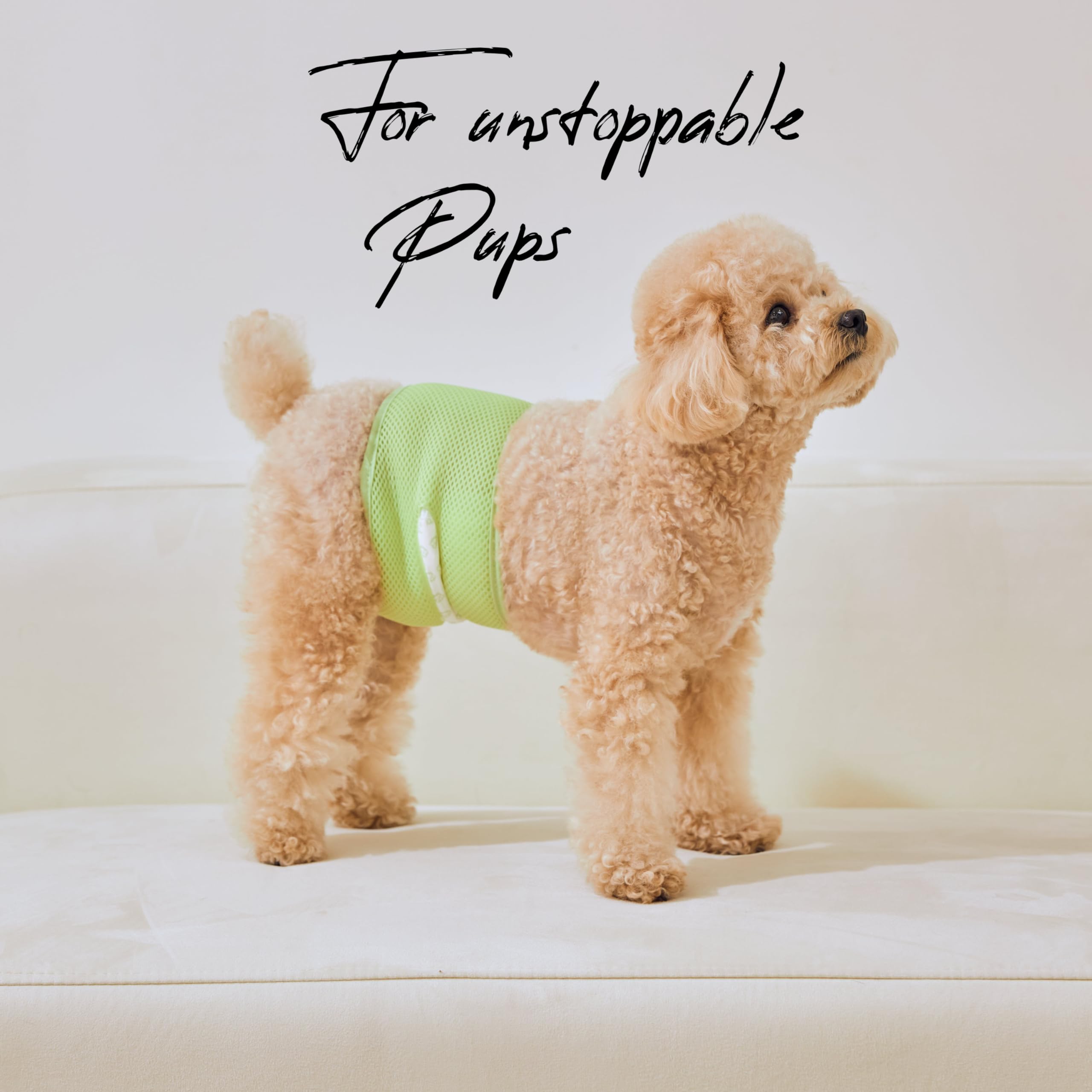 WICKEDPUP belly band kit in use scene highlights practical routines.