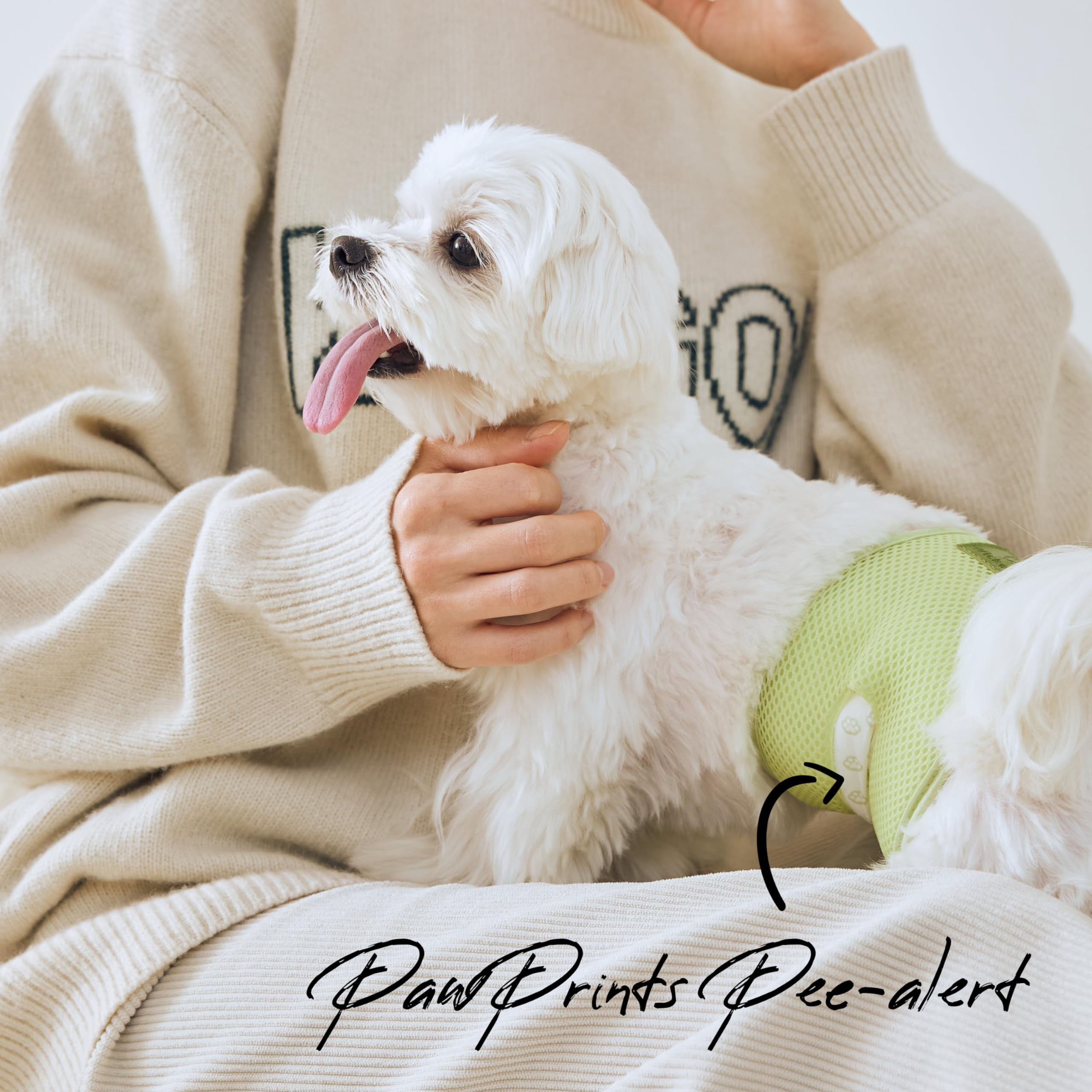 WICKEDPUP reusable pad holder keeps pads organized and secure