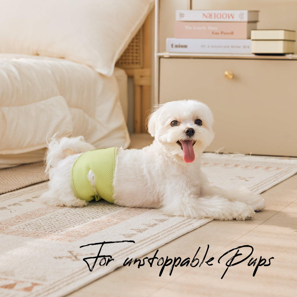 WICKEDPUP small-dog-friendly design for Yorkies and other toy breeds