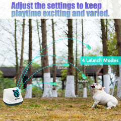 WIGGLYTAIL balls loaded in the launcher for effortless fetch.