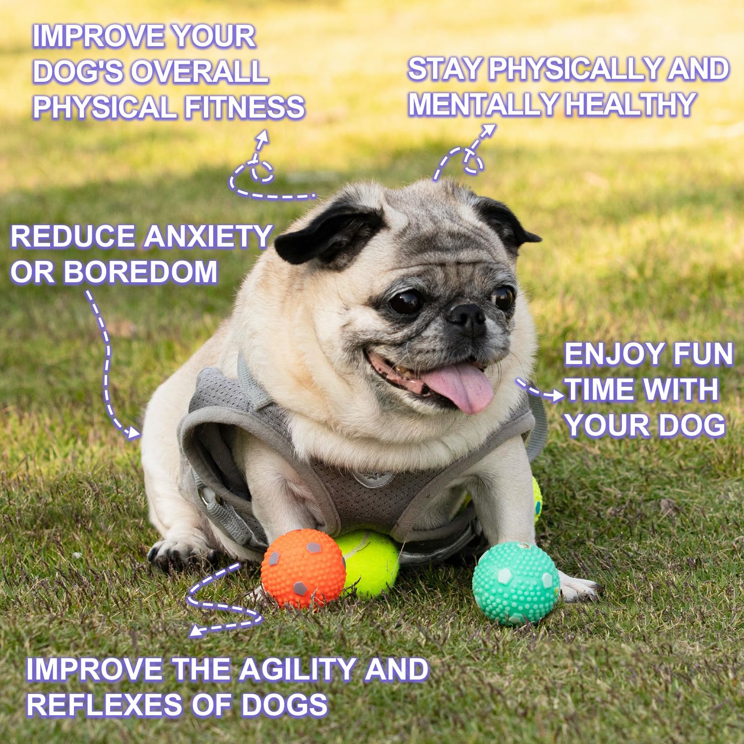 WIGGLYTAIL dog balls 2-inch front view, ideal for interactive fetch.