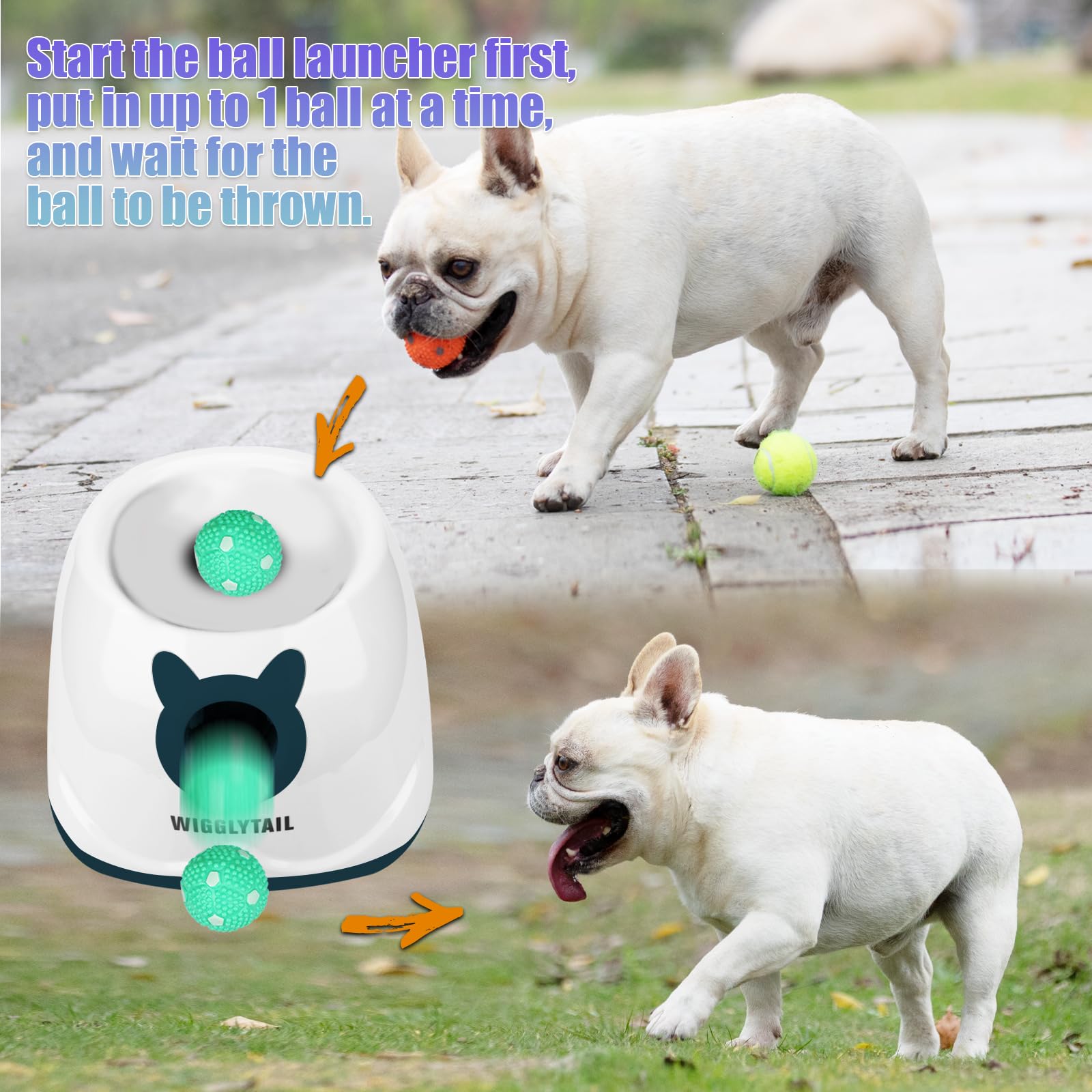 WIGGLYTAIL setup shows indoor and outdoor compatibility for dogs.