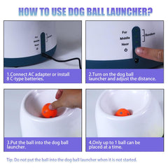 WIGGLYTAIL launcher offers exciting hands-free interactive play for puppies.