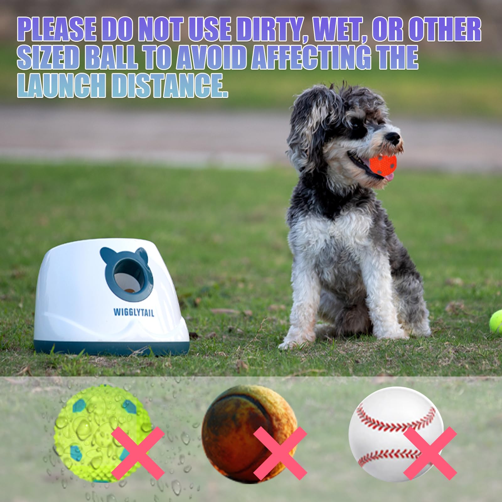 WIGGLYTAIL transmitter is portable for easy outdoor play.