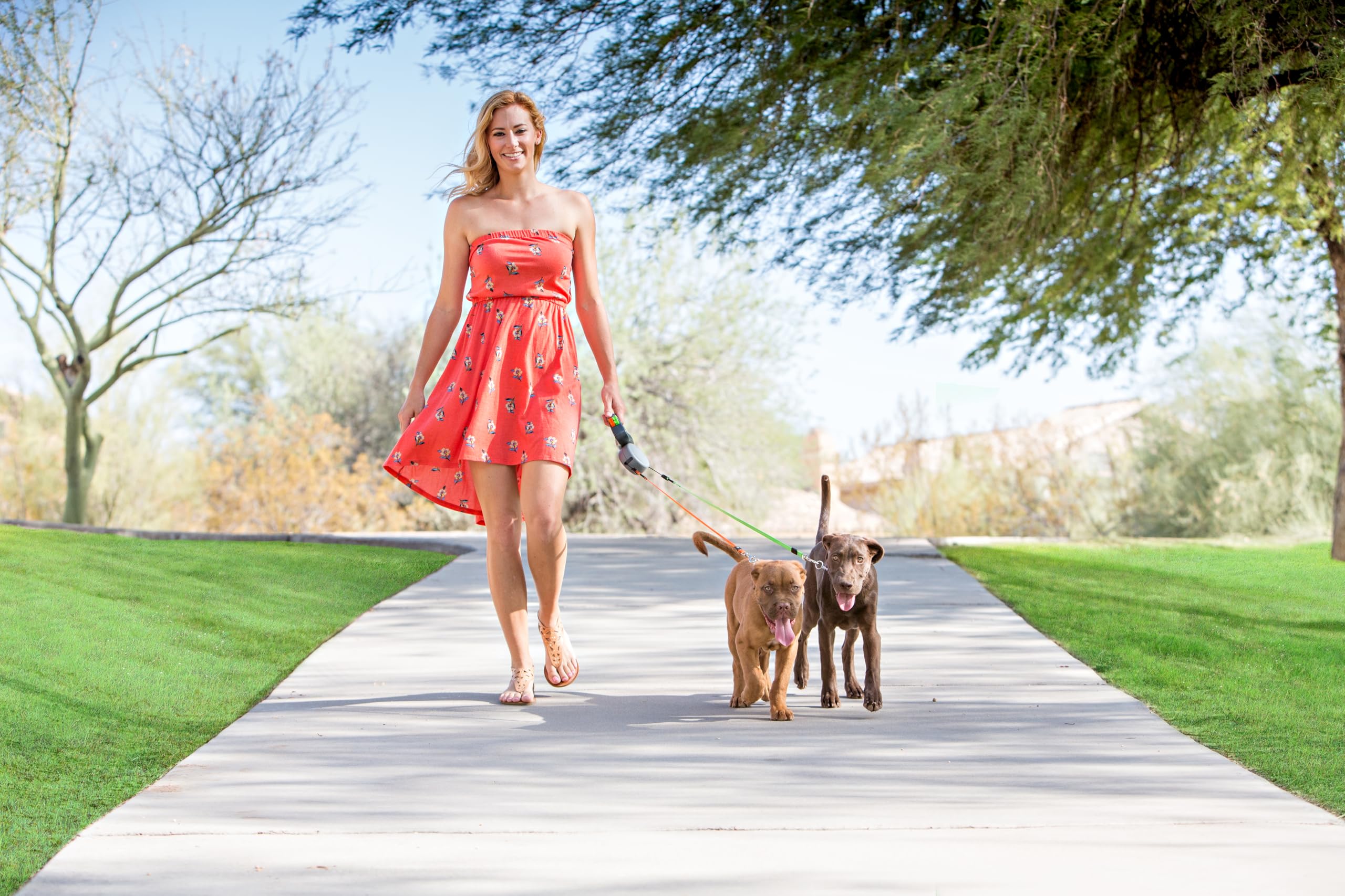 WIGZI Dual Doggie Leash uses color-coded control to manage two dogs.