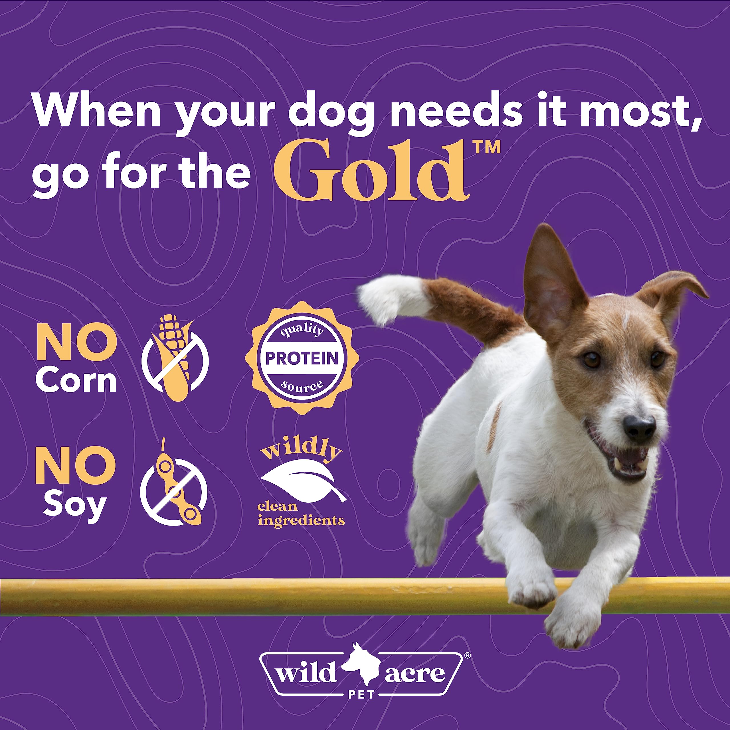 Scoop with ingredients like nutritional yeast and probiotics in Wild Acre Goat Milk Powder.