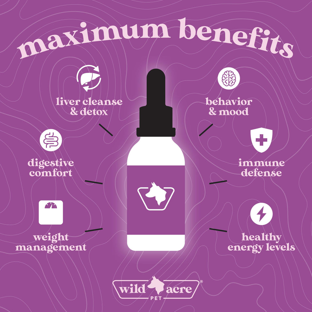 Wild Acre Milk Thistle bottle and label highlight max strength liver support.