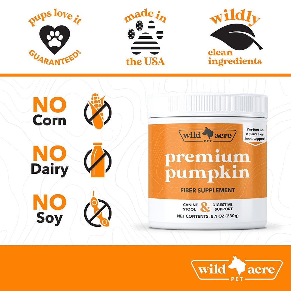 Wild Acre pumpkin powder bottle shown for travel, convenient digestion aid.