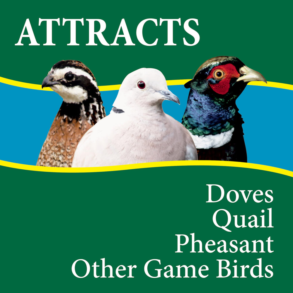 Ground-feeding birds enjoy Wild Delight mix on natural terrain.