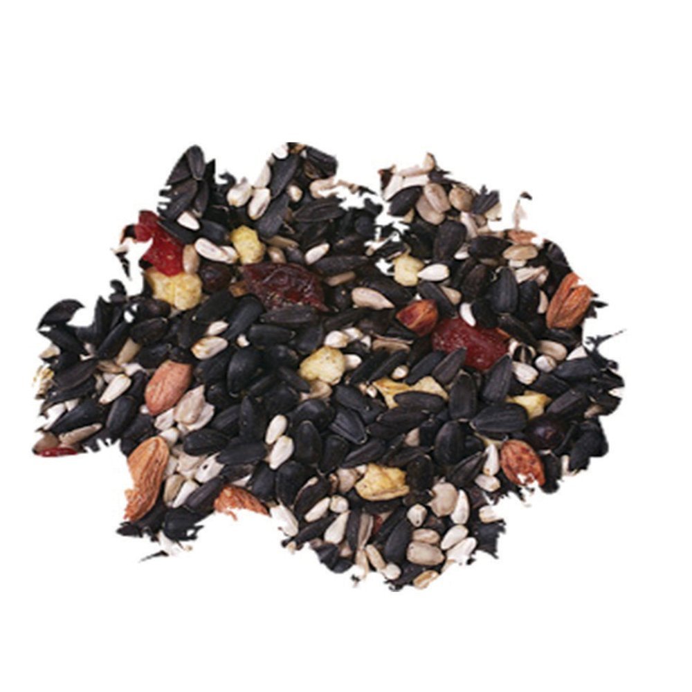 Wild Delight Fruit N' Berry close-up of dried fruits boosts feeder appeal.