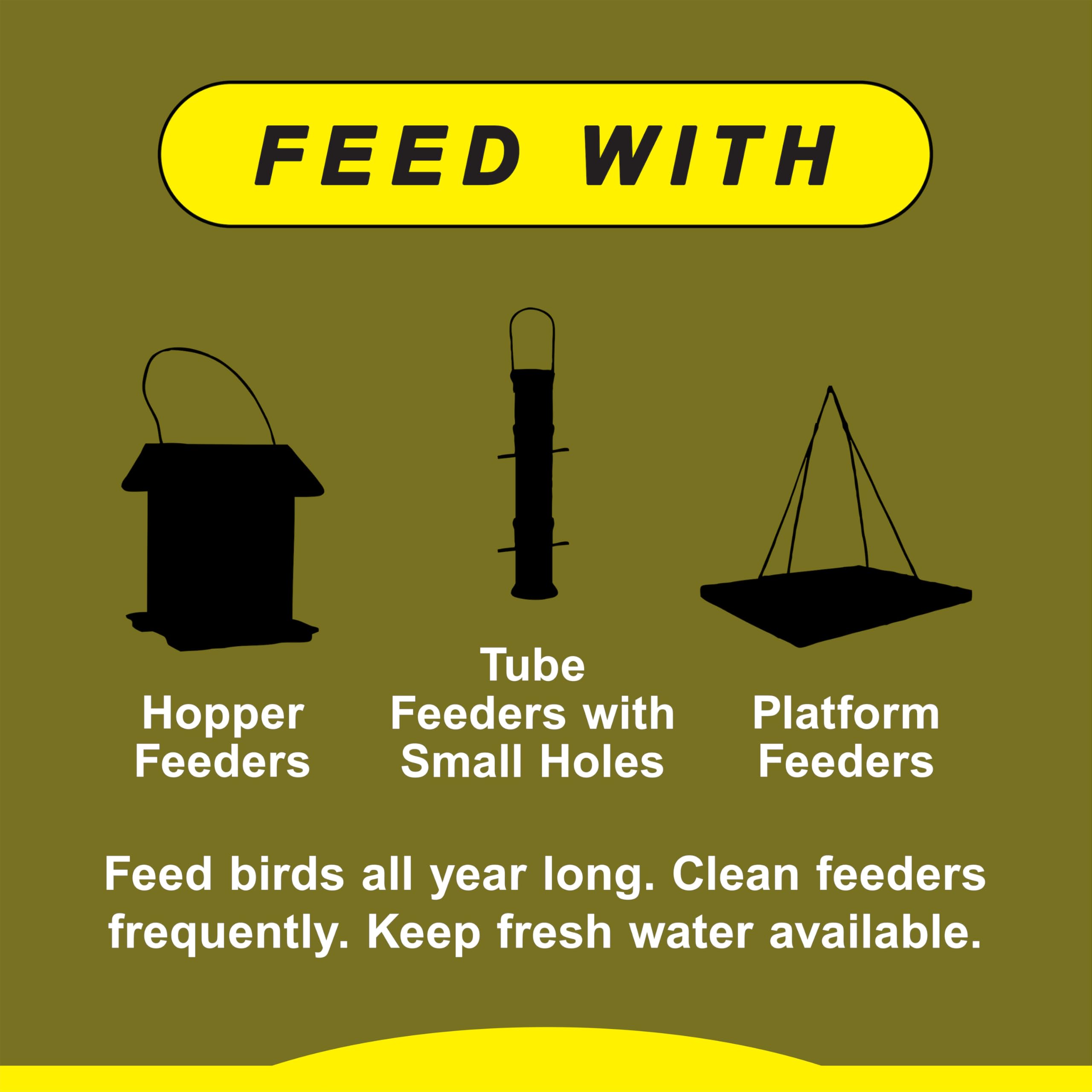 Wild Delight no fillers label emphasizes pure ingredients and cleaner feeding.