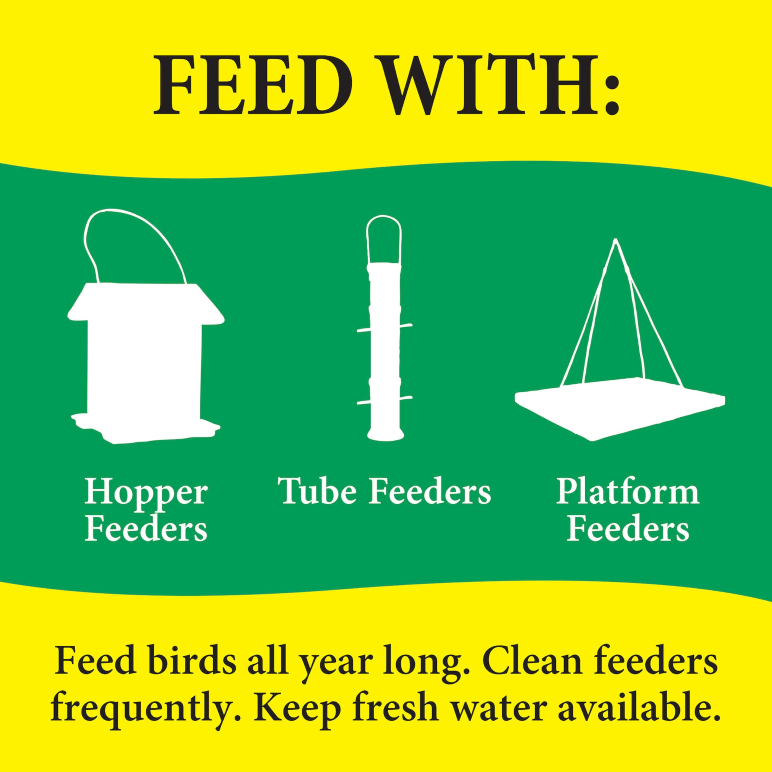 A variety of birds drawn to Wild Delight Nut N' Berry mixture