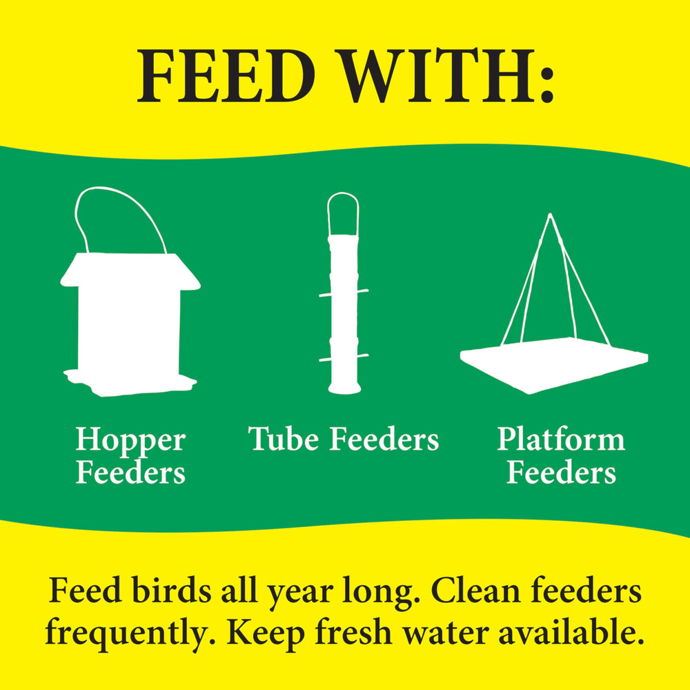 A variety of birds drawn to Wild Delight Nut N' Berry mixture