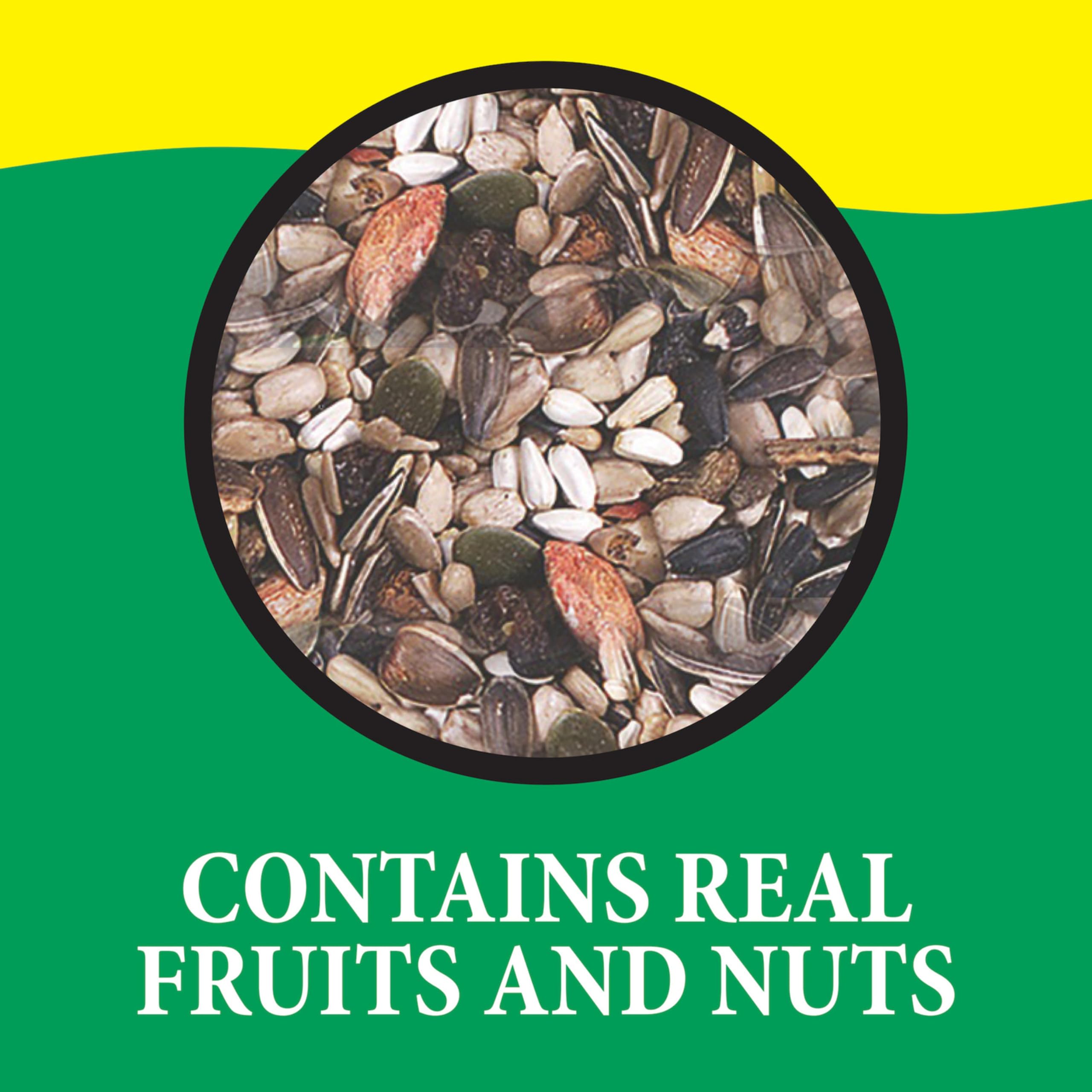 Dried fruits in Wild Delight Nut N' Berry mix for color and variety at feeders