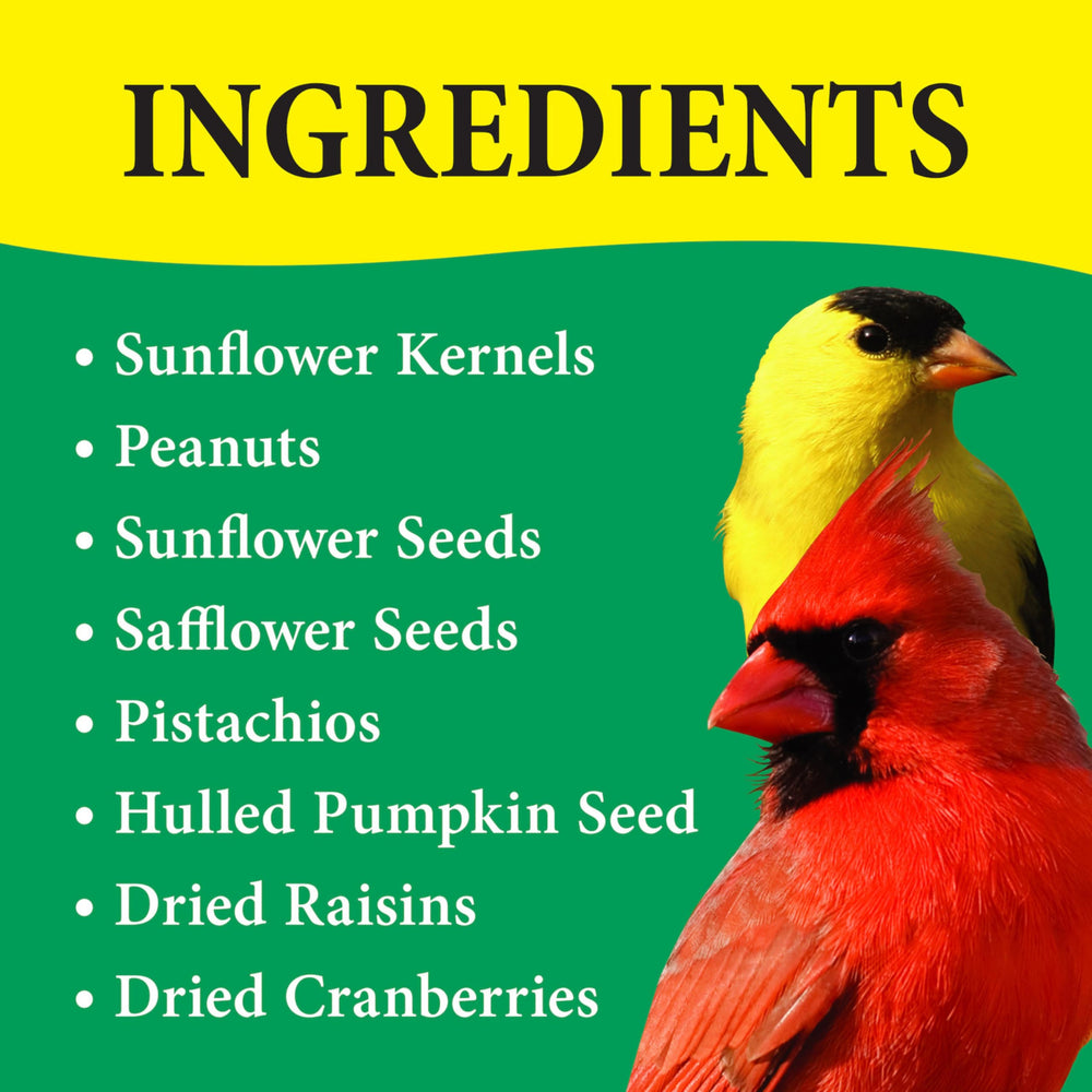 Hulled pumpkin seeds visible in Wild Delight Nut N' Berry blend