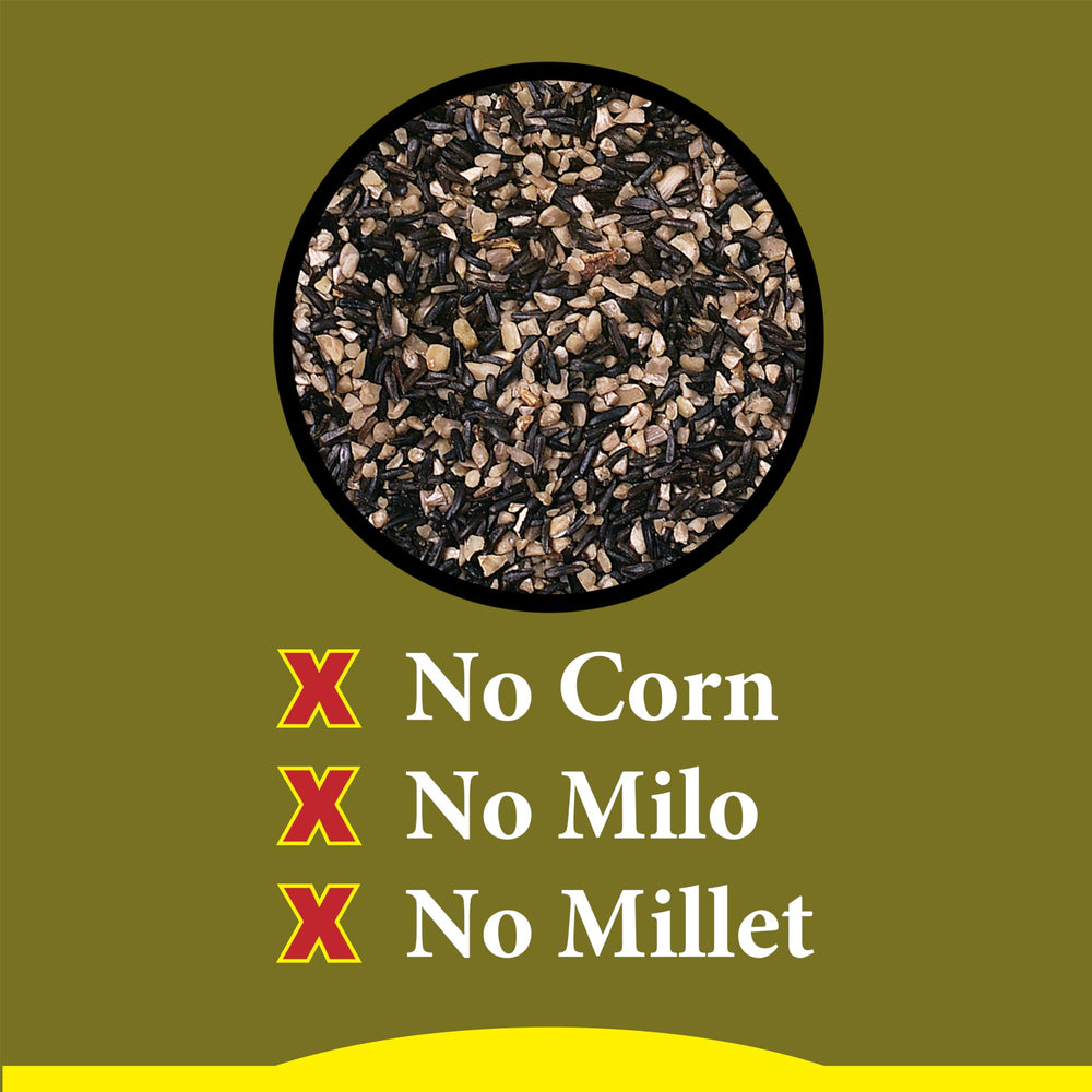 Wild Delight seed mix in a bowl demonstrates ready-to-use blend for easy feeding.