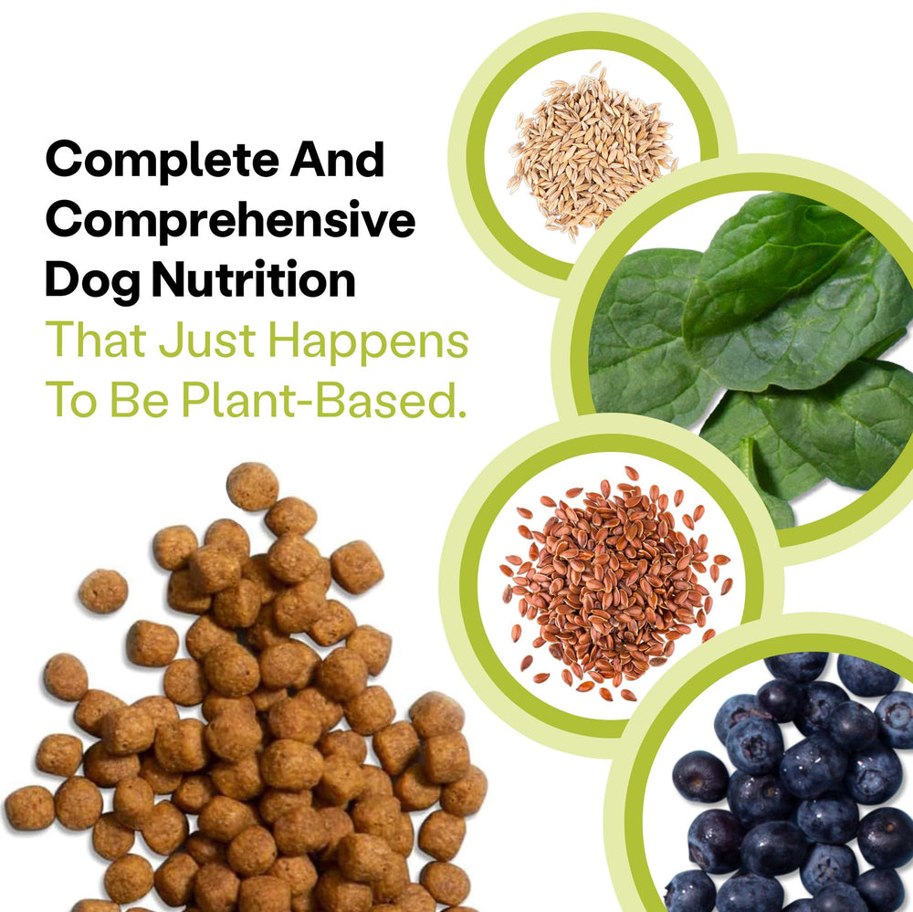 Wild Earth vegan dog food sustainably sourced badge signals eco-friendly USA-made production