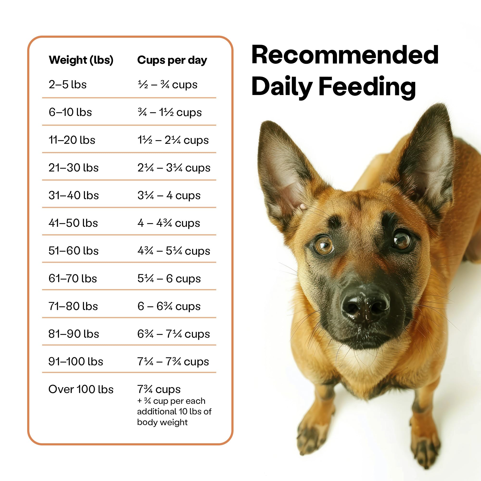 Wild Earth allergen-free formula image notes absence of meat, dairy, and wheat.