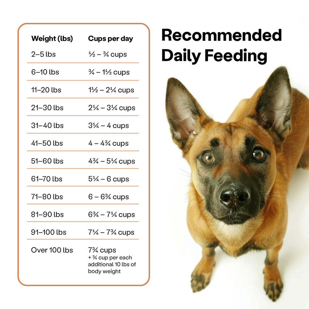 Wild Earth allergen-free formula image notes absence of meat, dairy, and wheat.