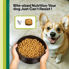 Wild Earth veterinarian-developed formula with DHA, Taurine, L-Carnitine for brain and energy support.