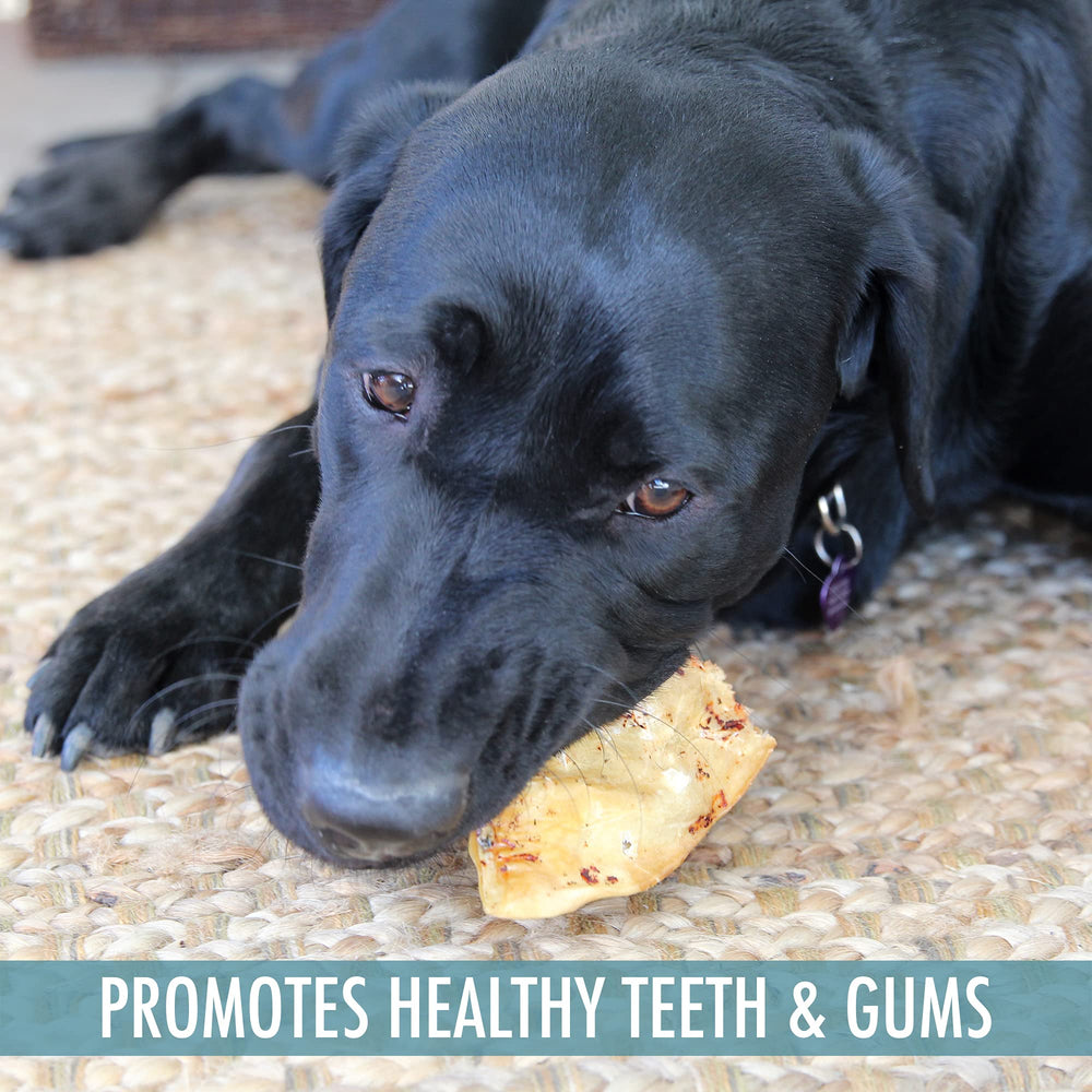 Wild Eats grain-free buffalo ear chews single-ingredient treat for dogs