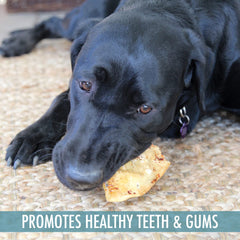 Wild Eats grain-free buffalo ear chews single-ingredient treat for dogs
