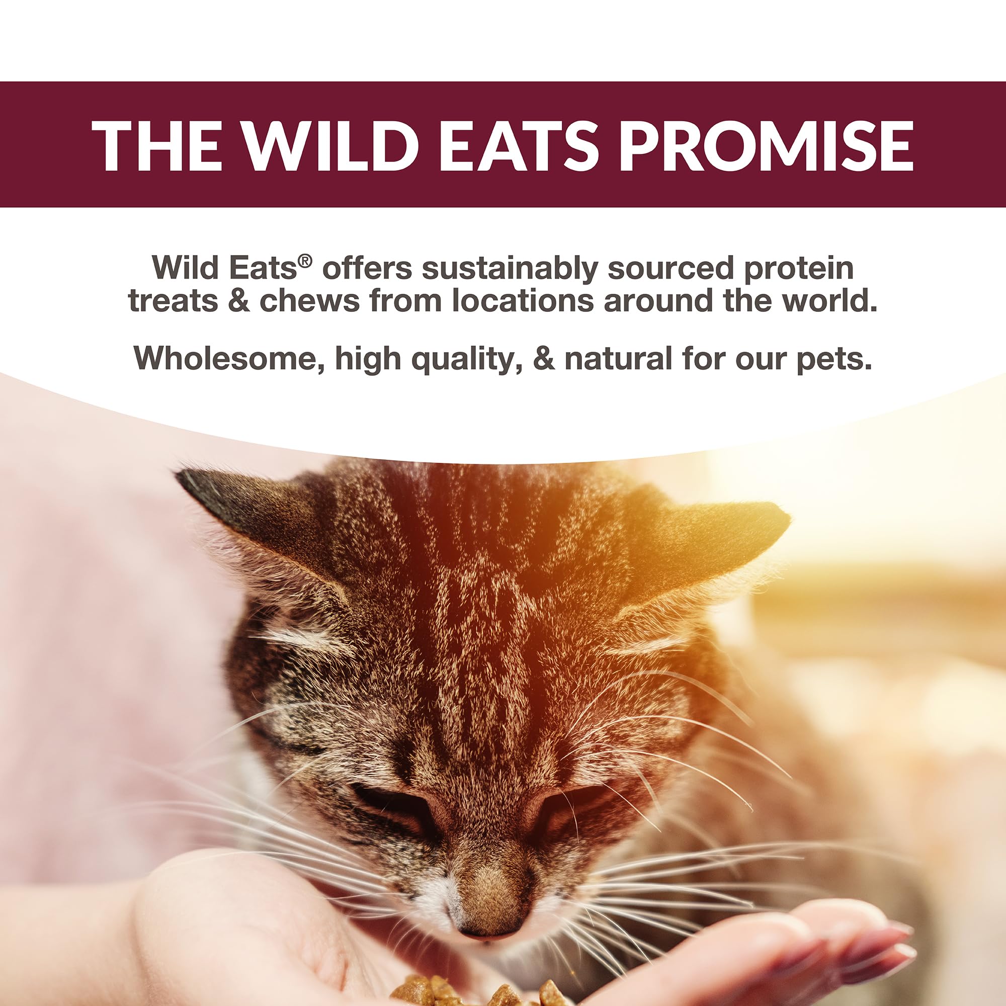 Wild Eats Simply Puree Salmon with Ancient Grains 48 servings offer convenient rewards