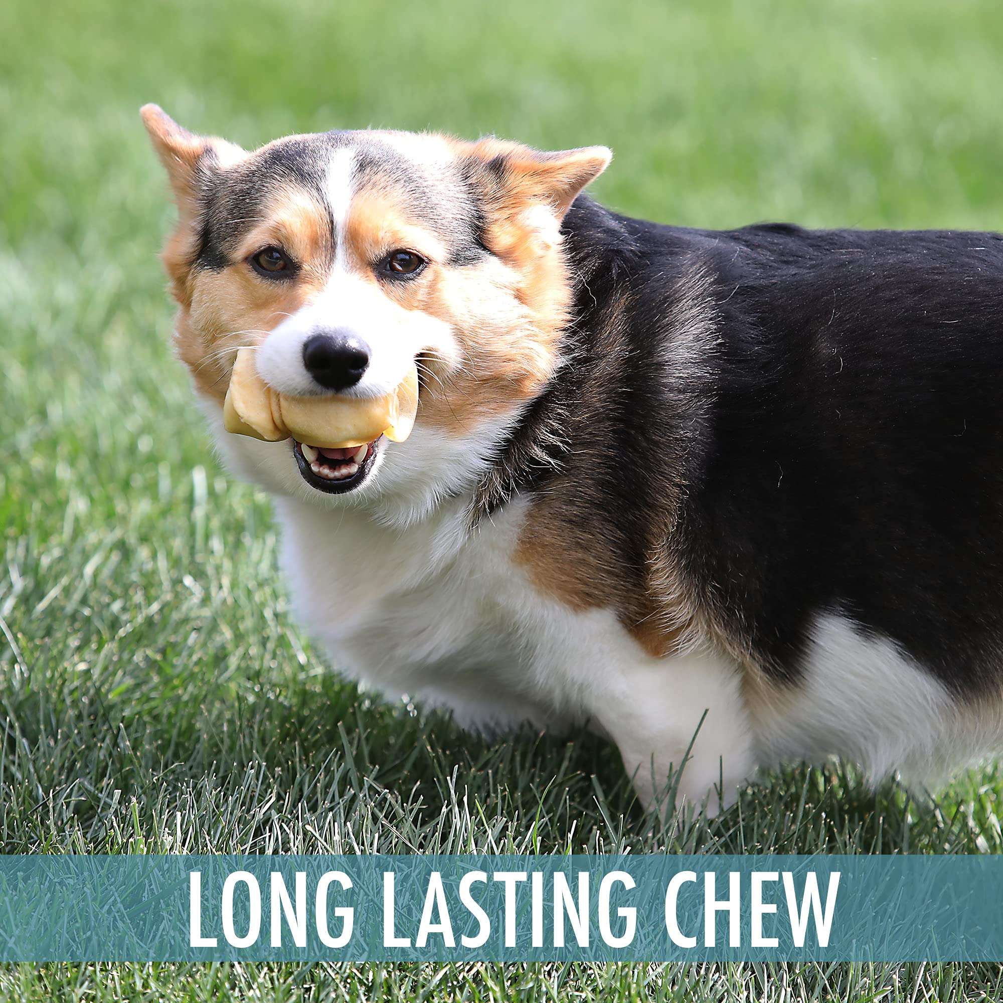 Wild Eats Water Buffalo Cheek Chips slow-roast — premium high-protein chew.