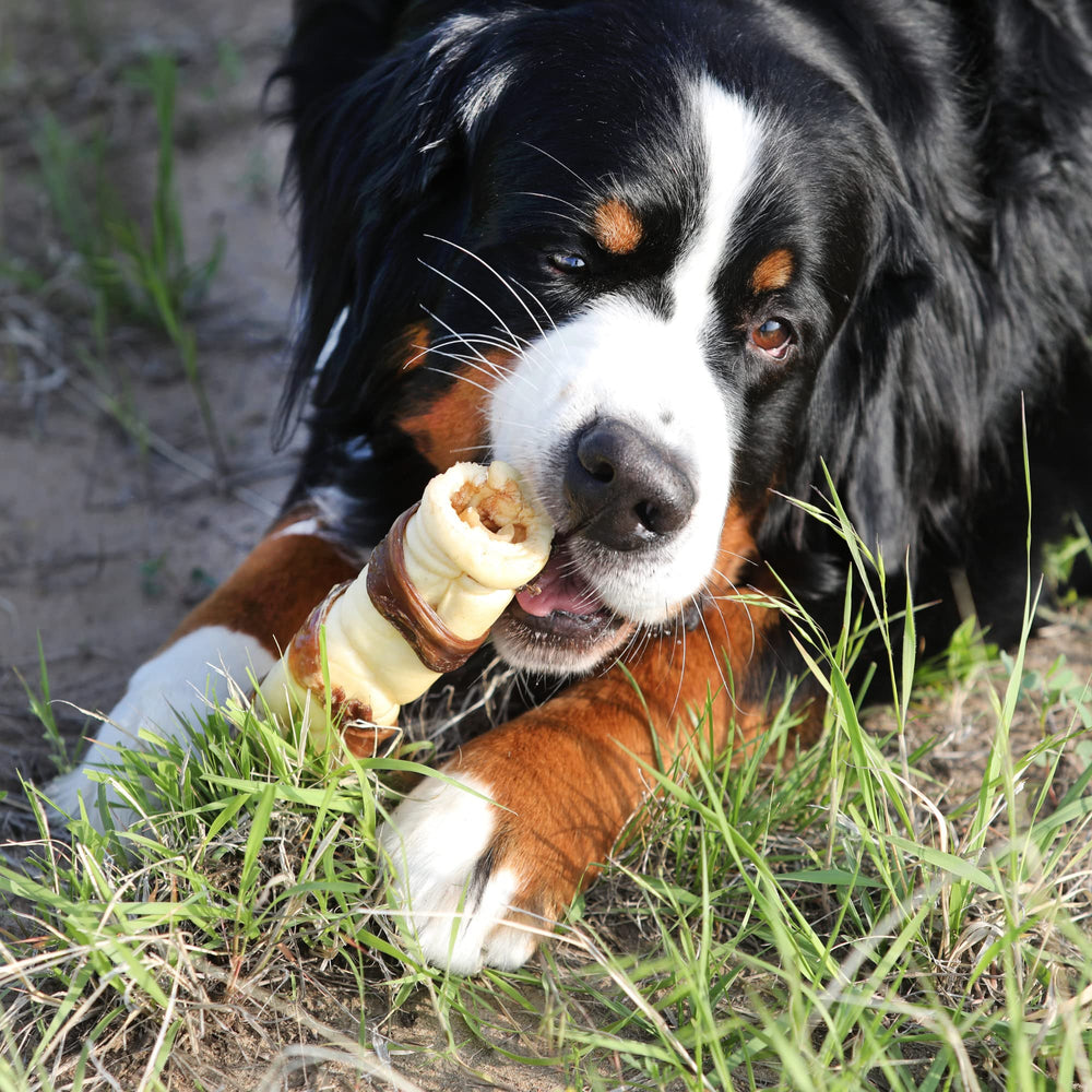 Wild Eats Water Buffalo Cheek Roll with-dog captures real-life satisfaction for chewers.