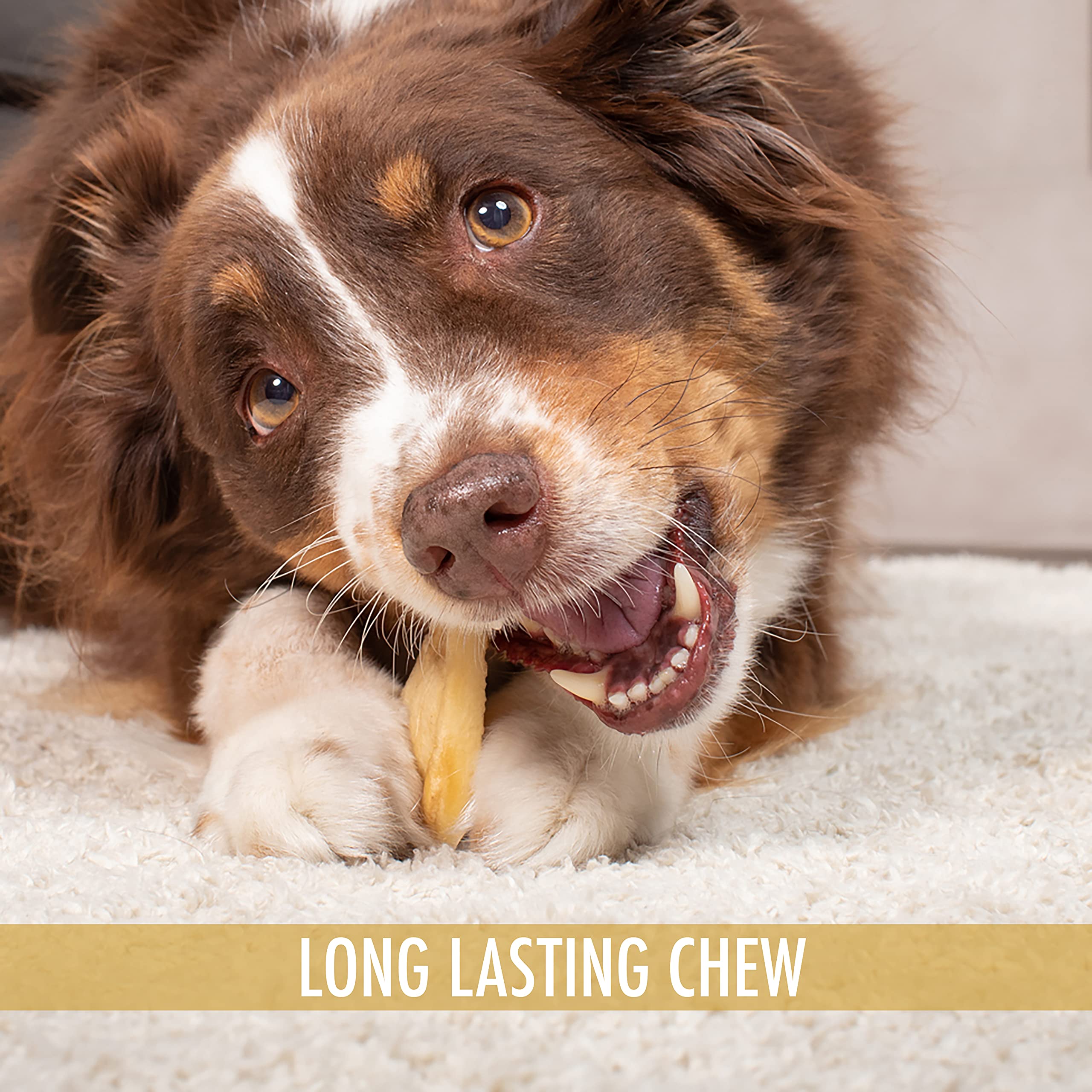 Rawhide-free label on Wild Eats Water Buffalo Ear Chews signals safer alternative.