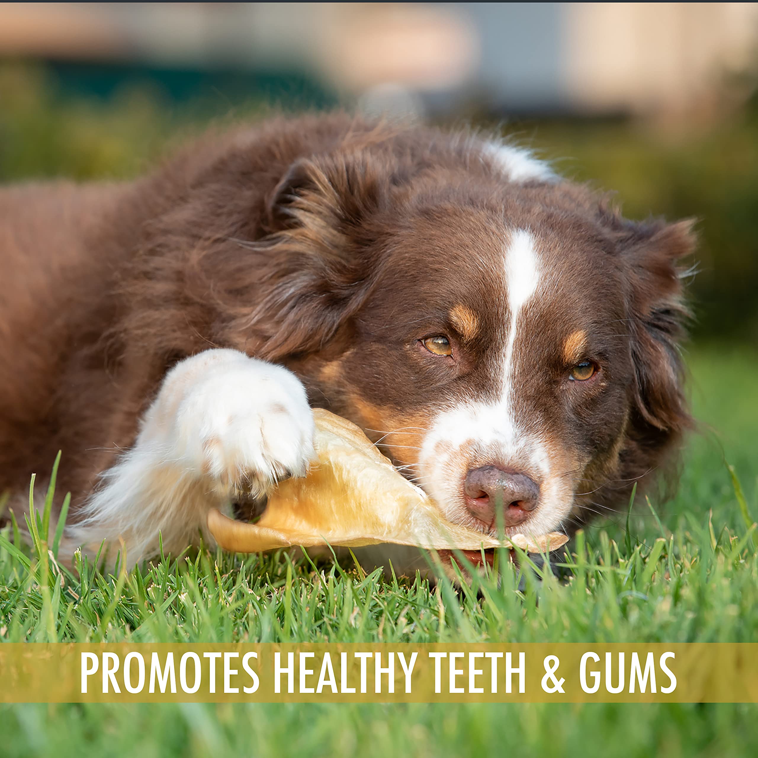 Sustainability badge on Wild Eats Water Buffalo Ear Chews highlights responsible sourcing.
