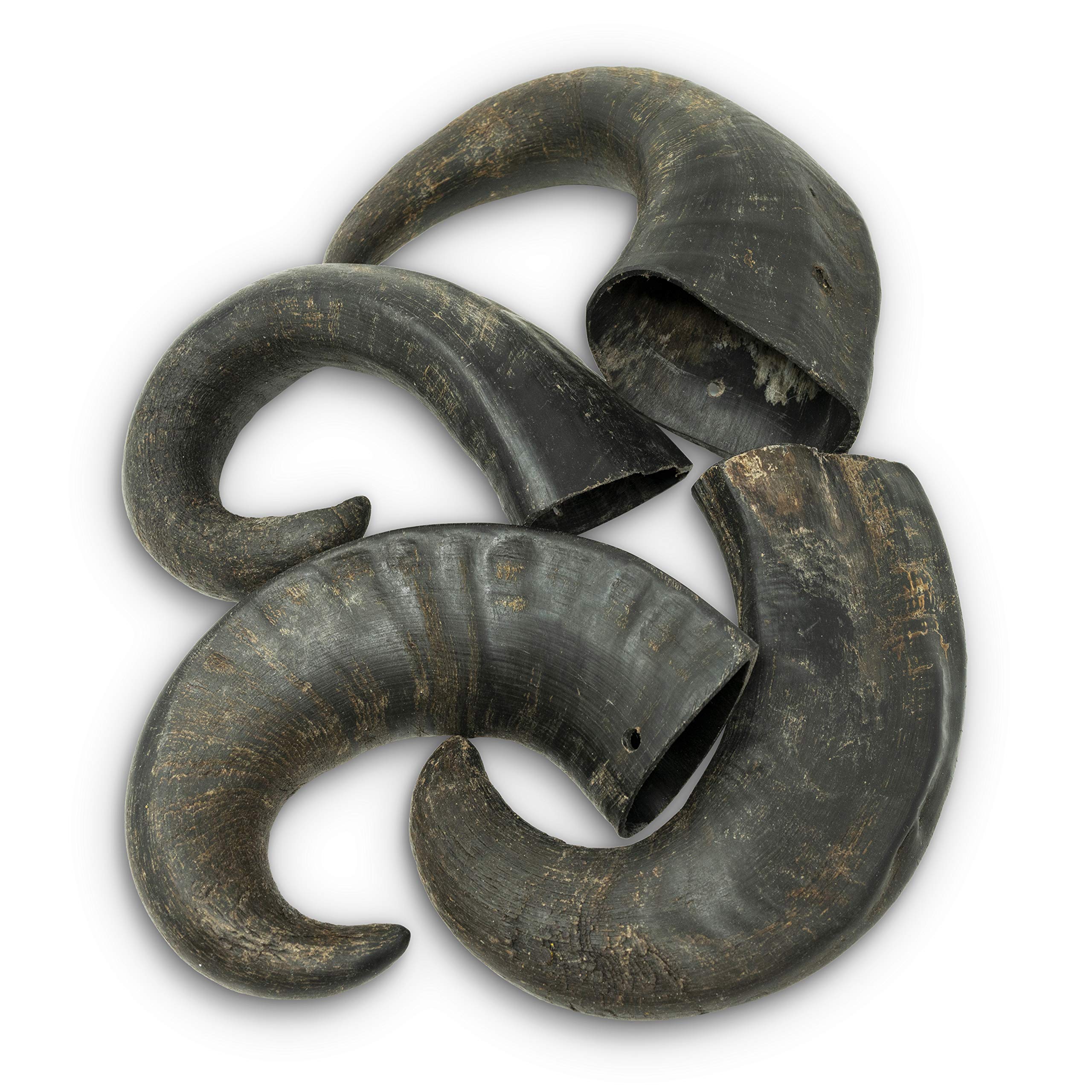Wild Eats Water Buffalo Horn Medium – durable chew for dogs, long-lasting entertainment.